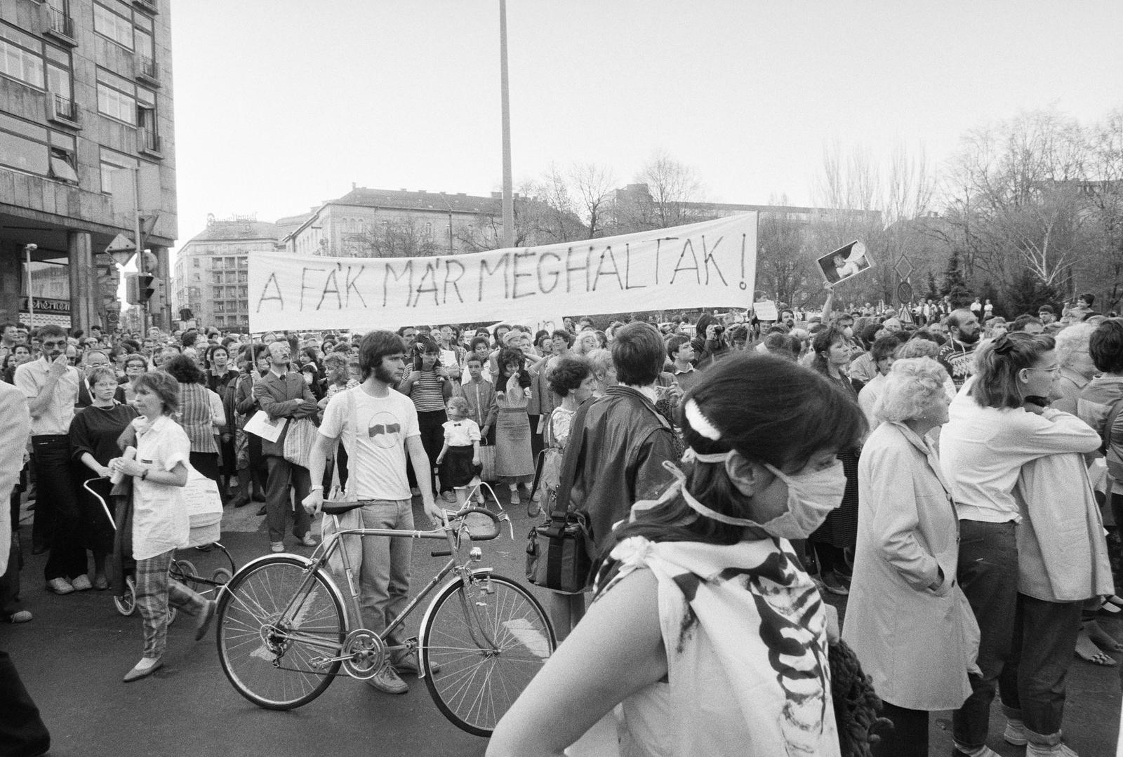 1989, Szebeni András, bicycle, Fortepan #302415
