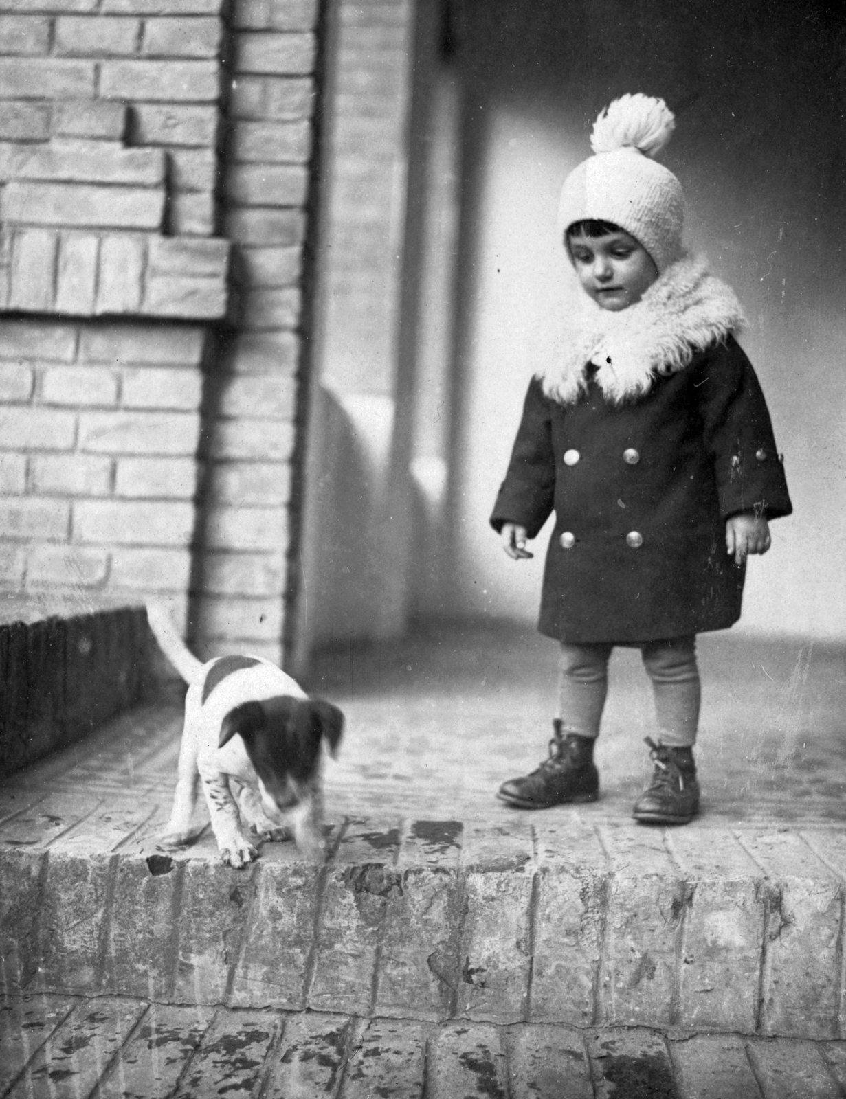 1929, Pétek Edit, dog, porch, kid, Fortepan #30252