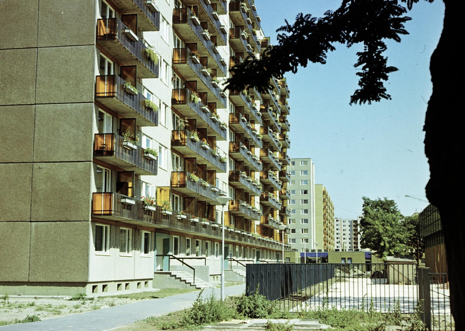 1980, Szomolányi József, színes, erkély, virágtartó, panelház, Fortepan #302588