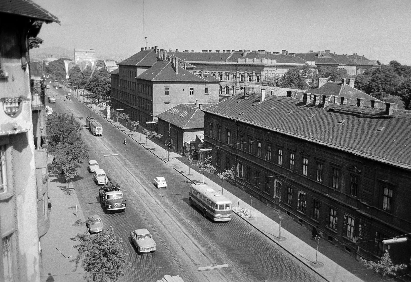 1970, Szomolányi József, Fortepan #302677
