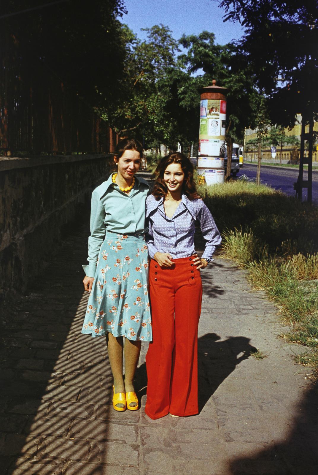 1972, Szomolányi József, Fortepan #302697