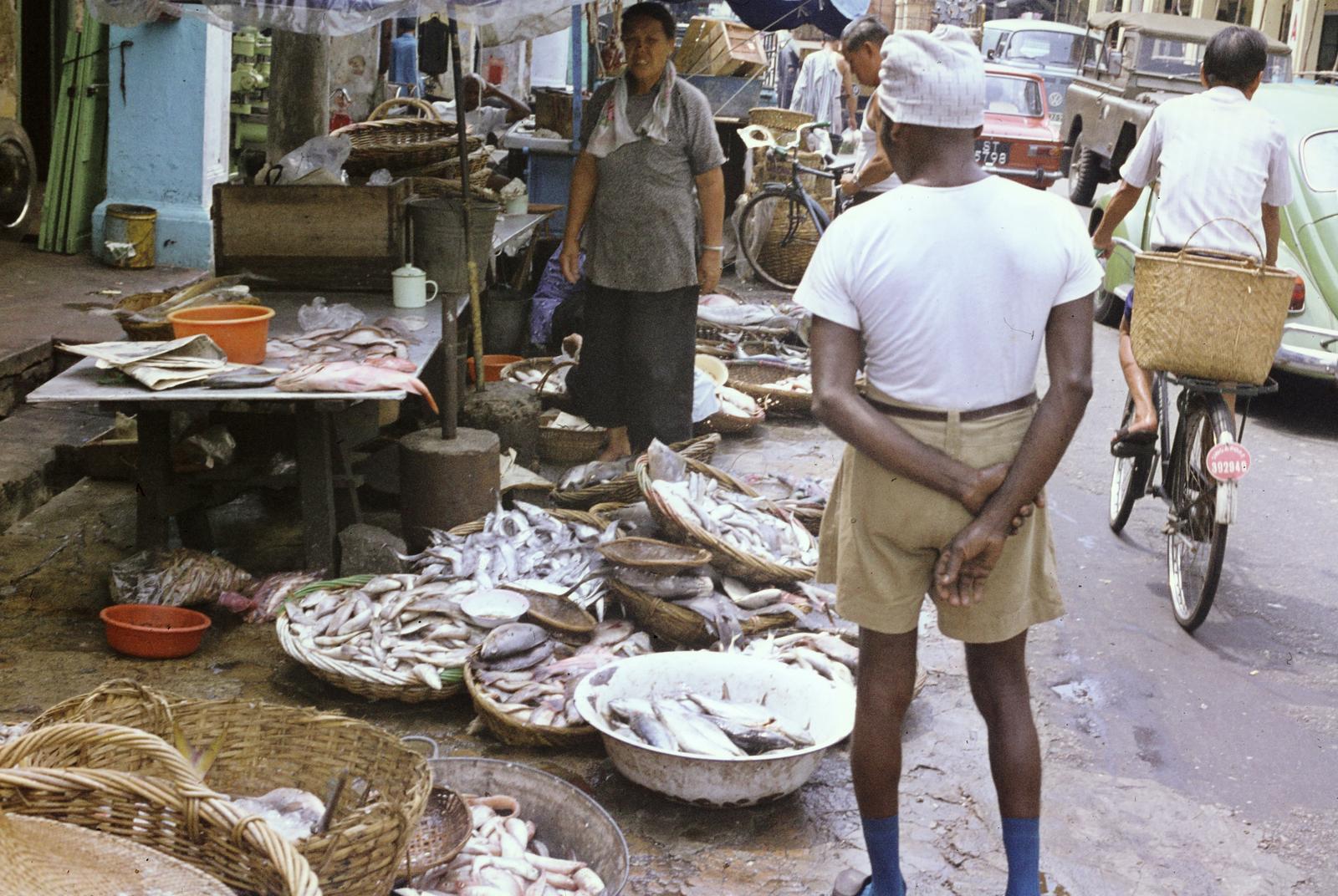 1977, Szomolányi József, colorful, washbasin, market, fish, seller, Fortepan #302712