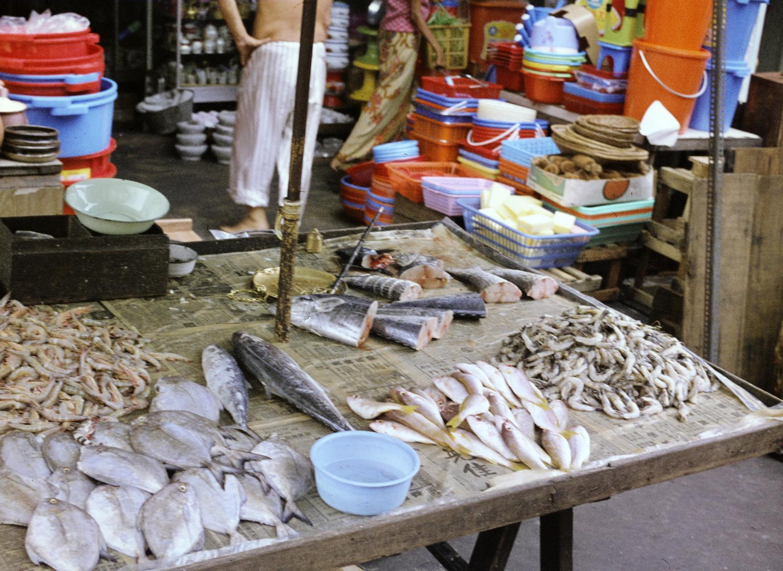 1977, Szomolányi József, colorful, pot, plastic, fish, Fortepan #302713