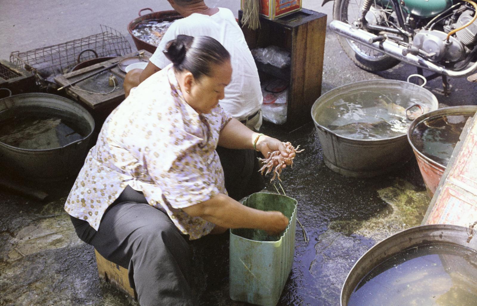 1977, Szomolányi József, hold in arms, colorful, market, frog, Fortepan #302716