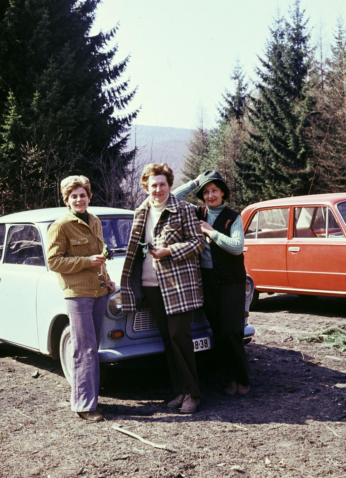 1974, Szomolányi József, women, colorful, Fortepan #302805