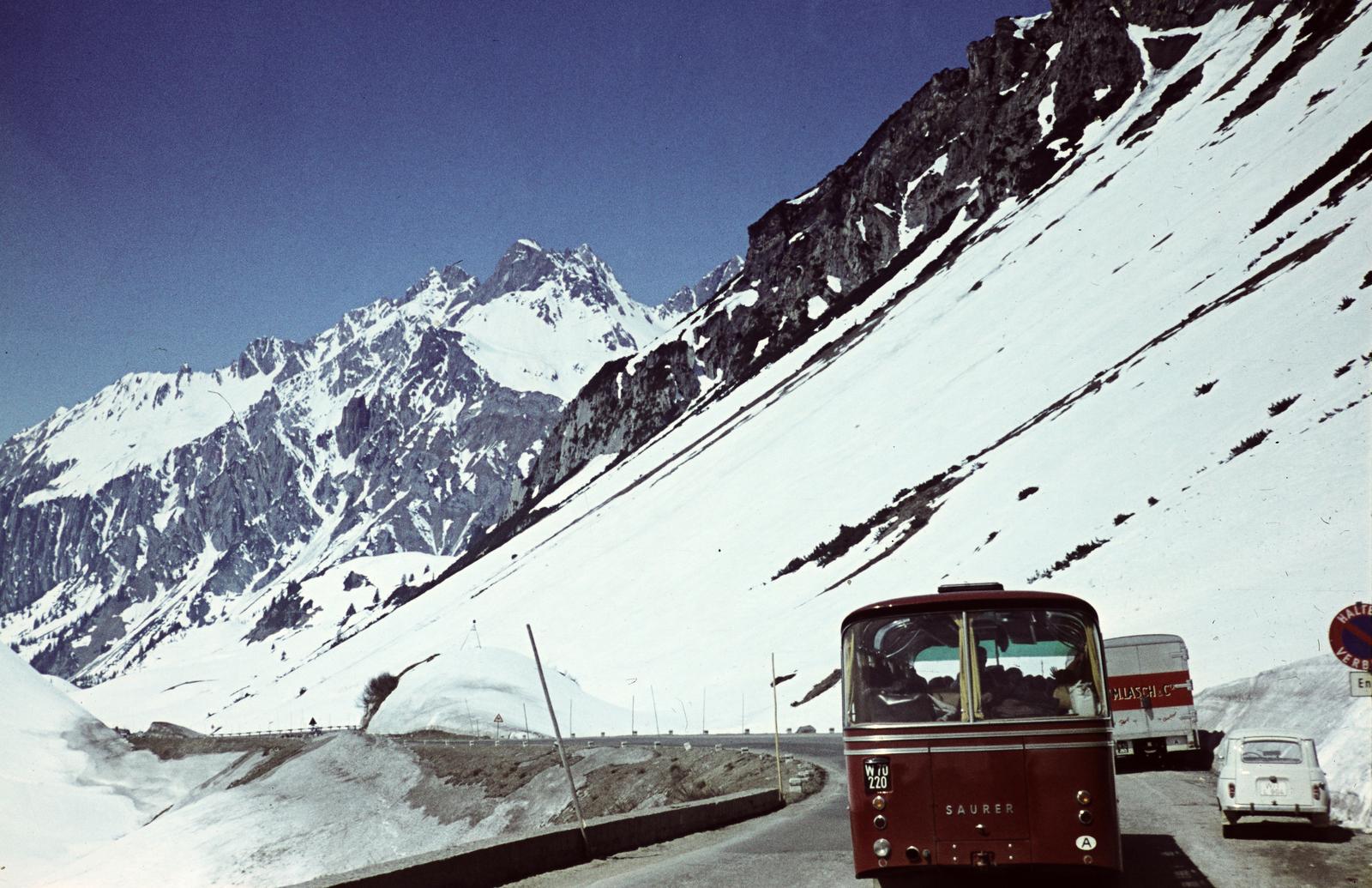 1965, Szomolányi József, színes, havas táj, hegyoldal, Fortepan #302810