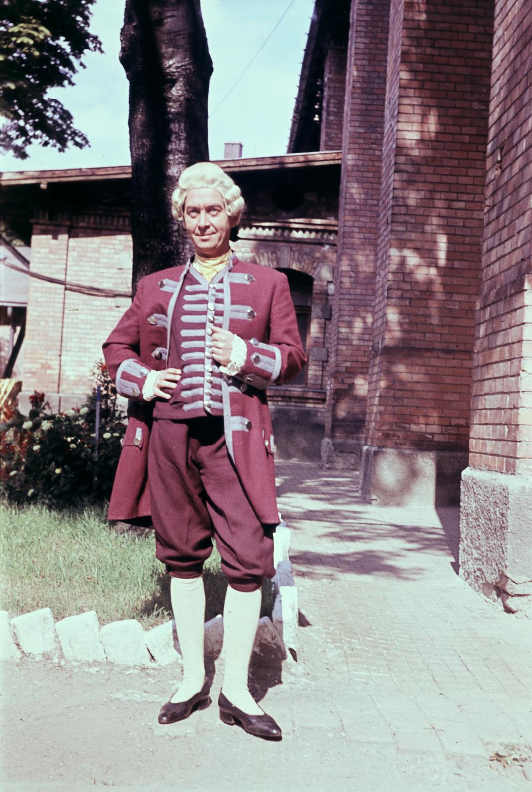 1968, Szomolányi József, colorful, wig, costume, Fortepan #302907