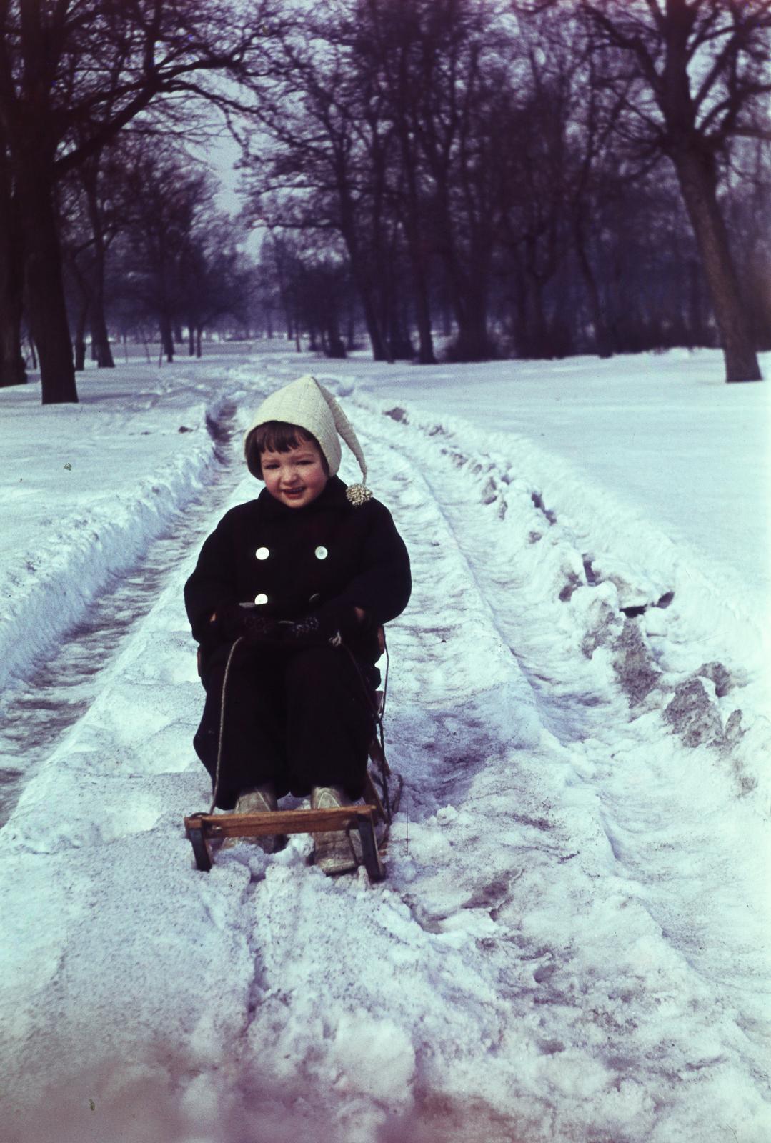 1955, Szomolányi József, colorful, snow, sledge, Fortepan #302915
