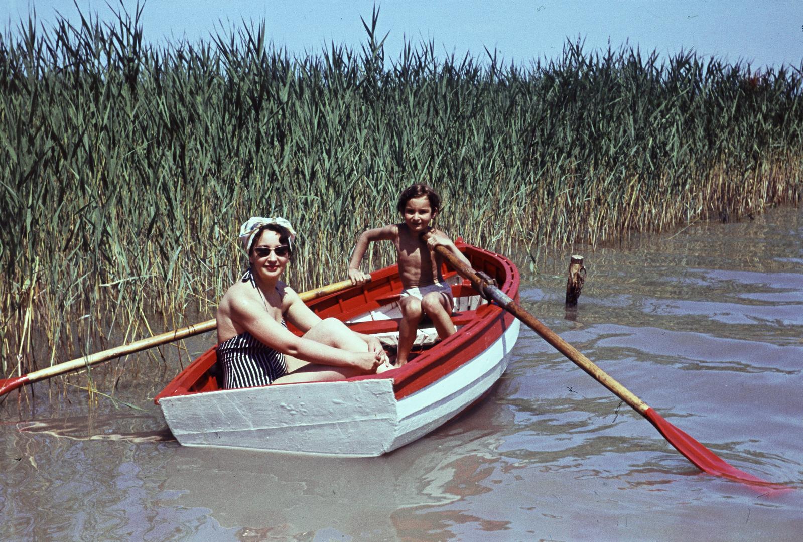 1954, Szomolányi József, colorful, boat, paddle, reed, Fortepan #302929