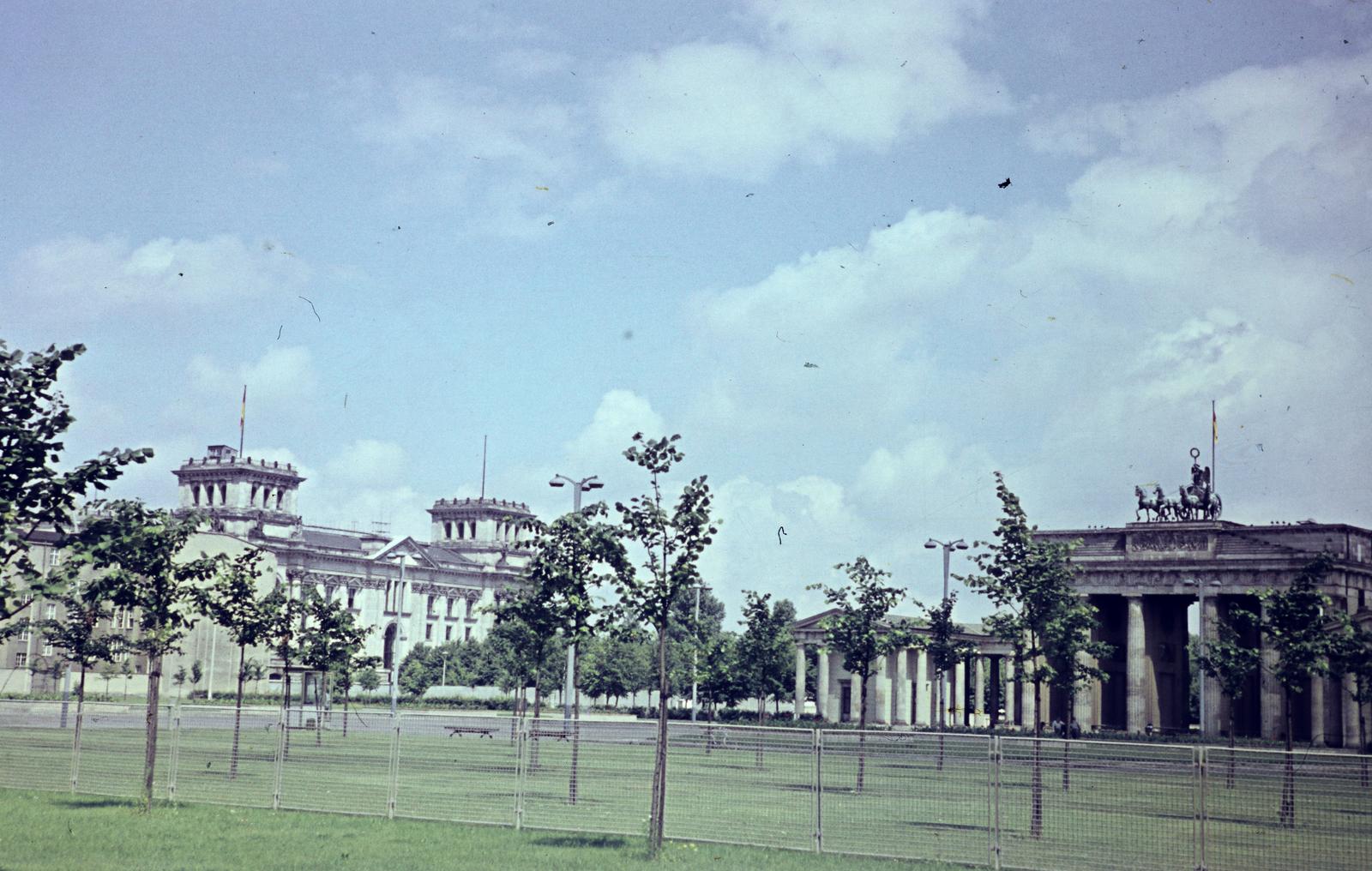 1964, Szomolányi József, sapling, colorful, triumphal arc, Fortepan #302932