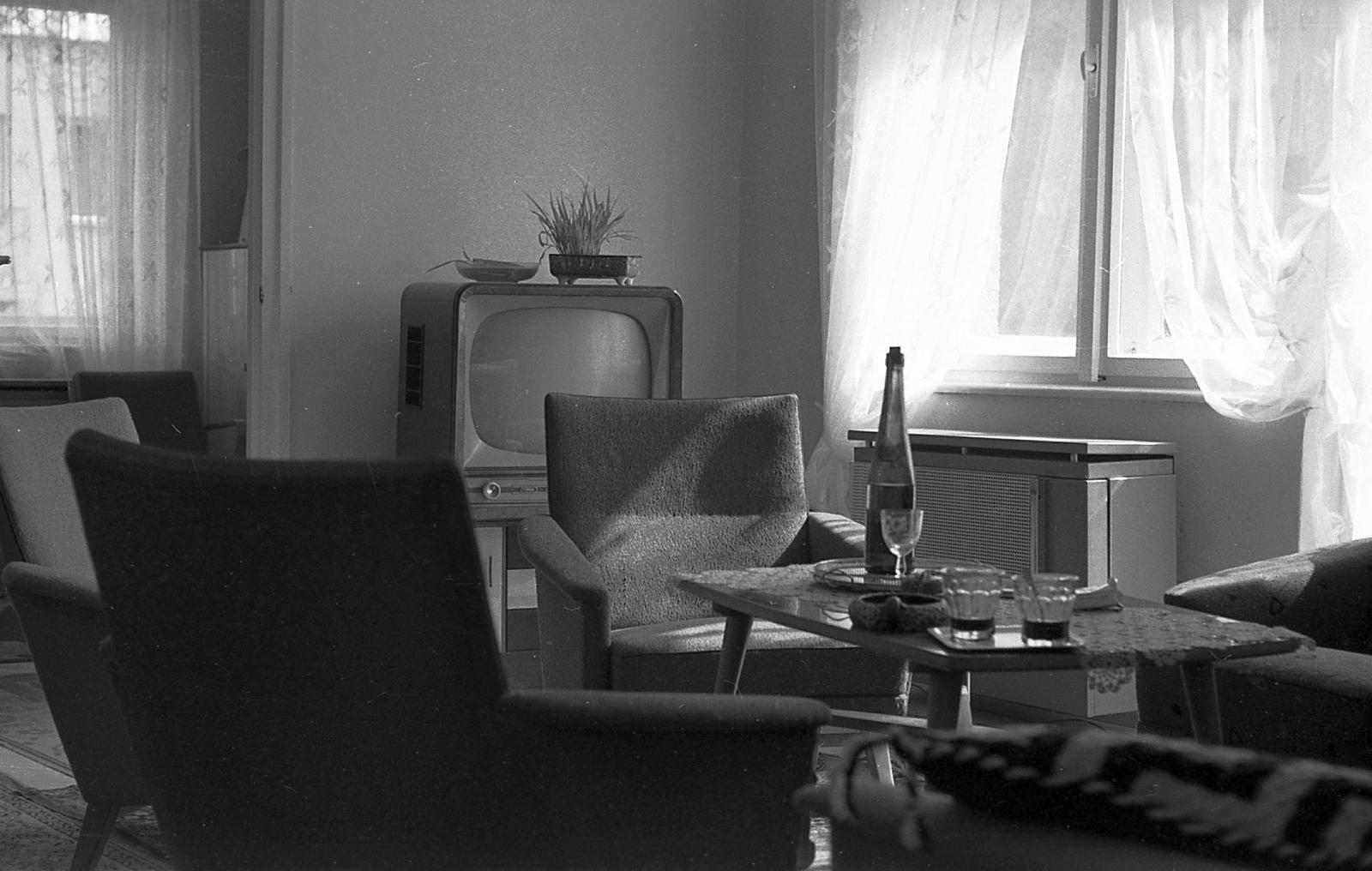 1964, Tarcsa Lajos, Fortepan #303013