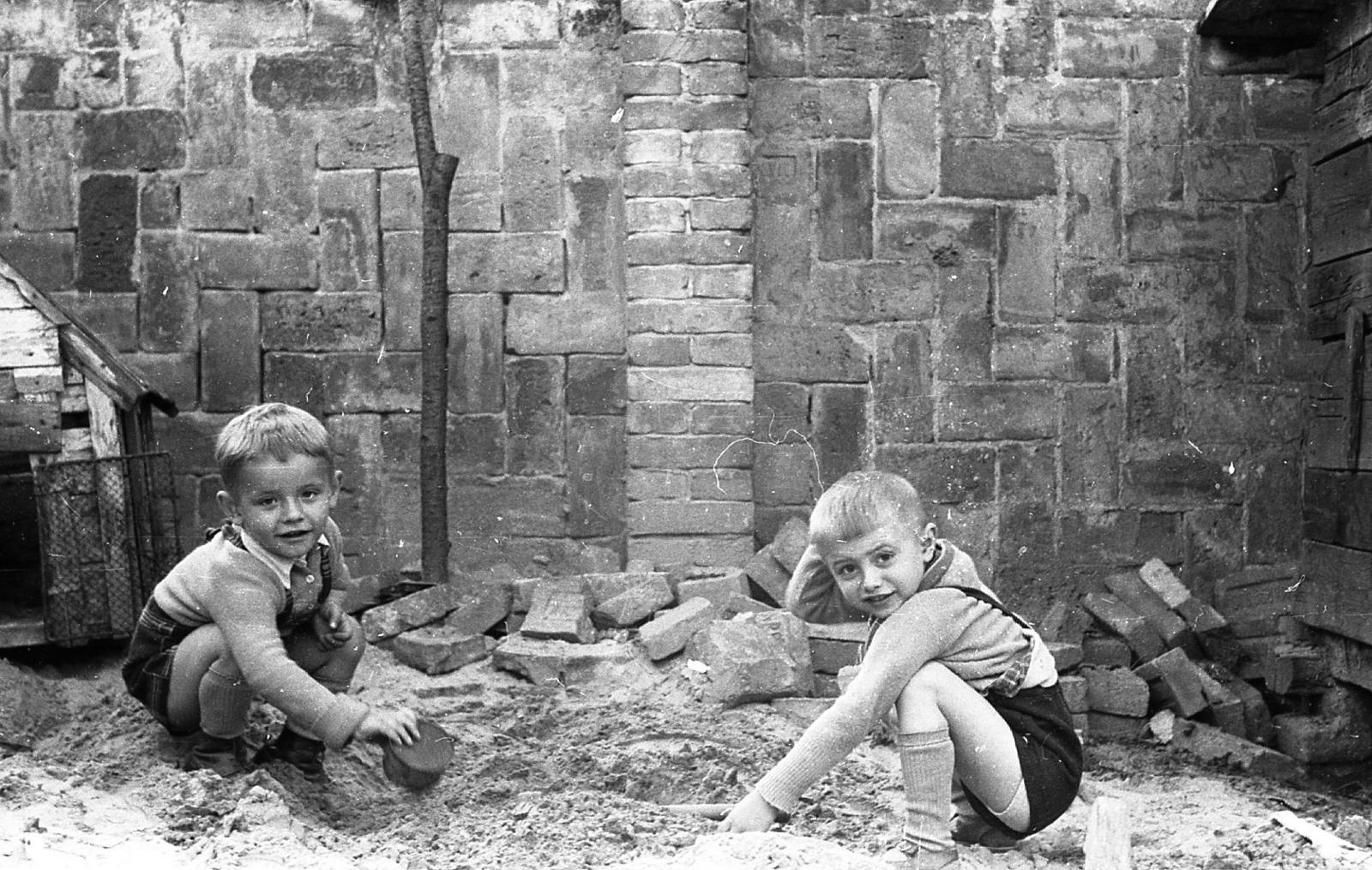 1955, Tarcsa Lajos, Fortepan #303031