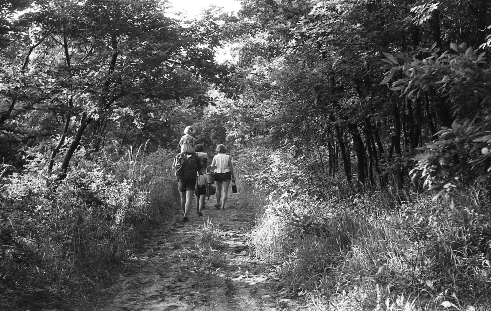 1955, Tarcsa Lajos, Fortepan #303048