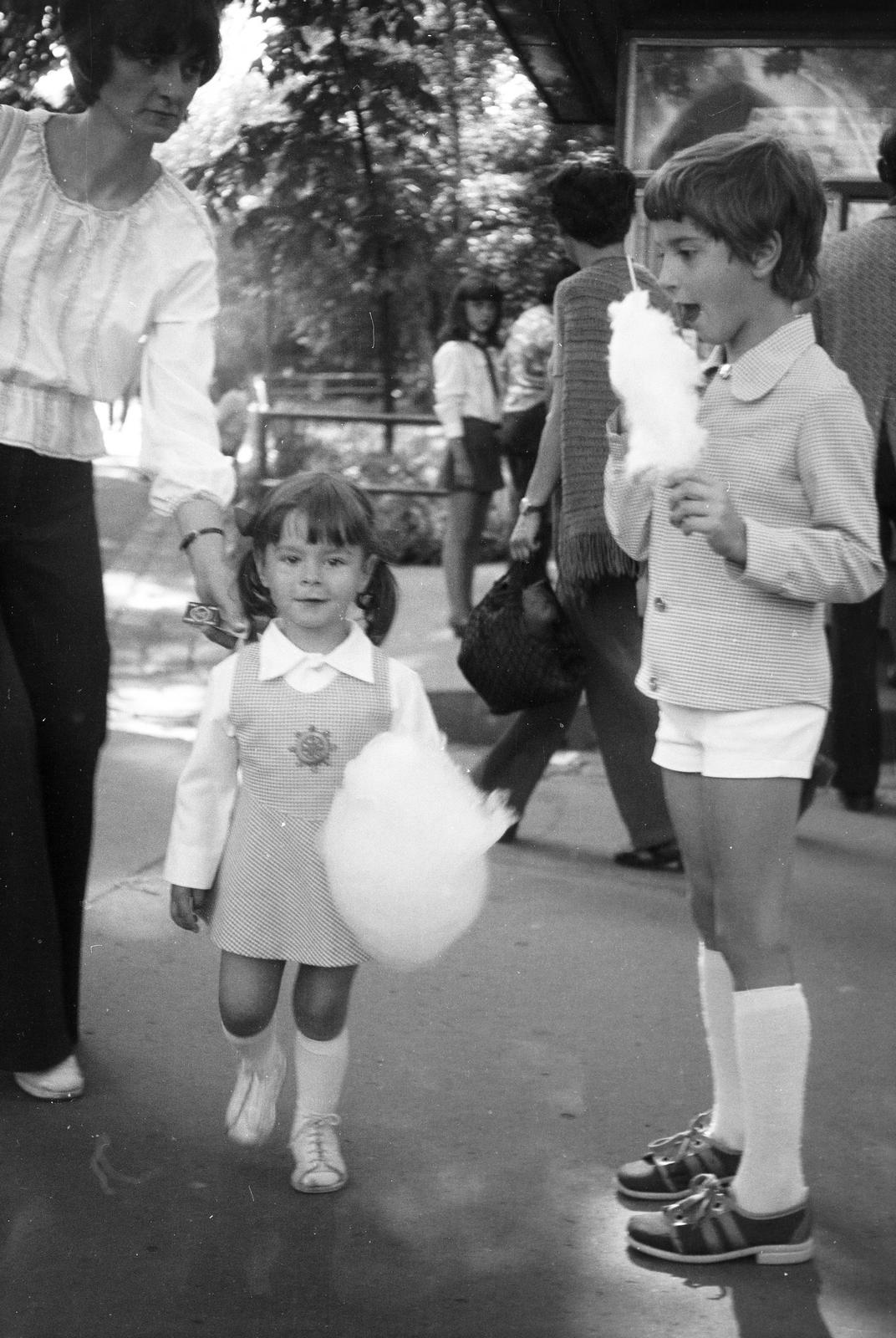 1973, Z. Karvalics László, vattacukor, Fortepan #303121