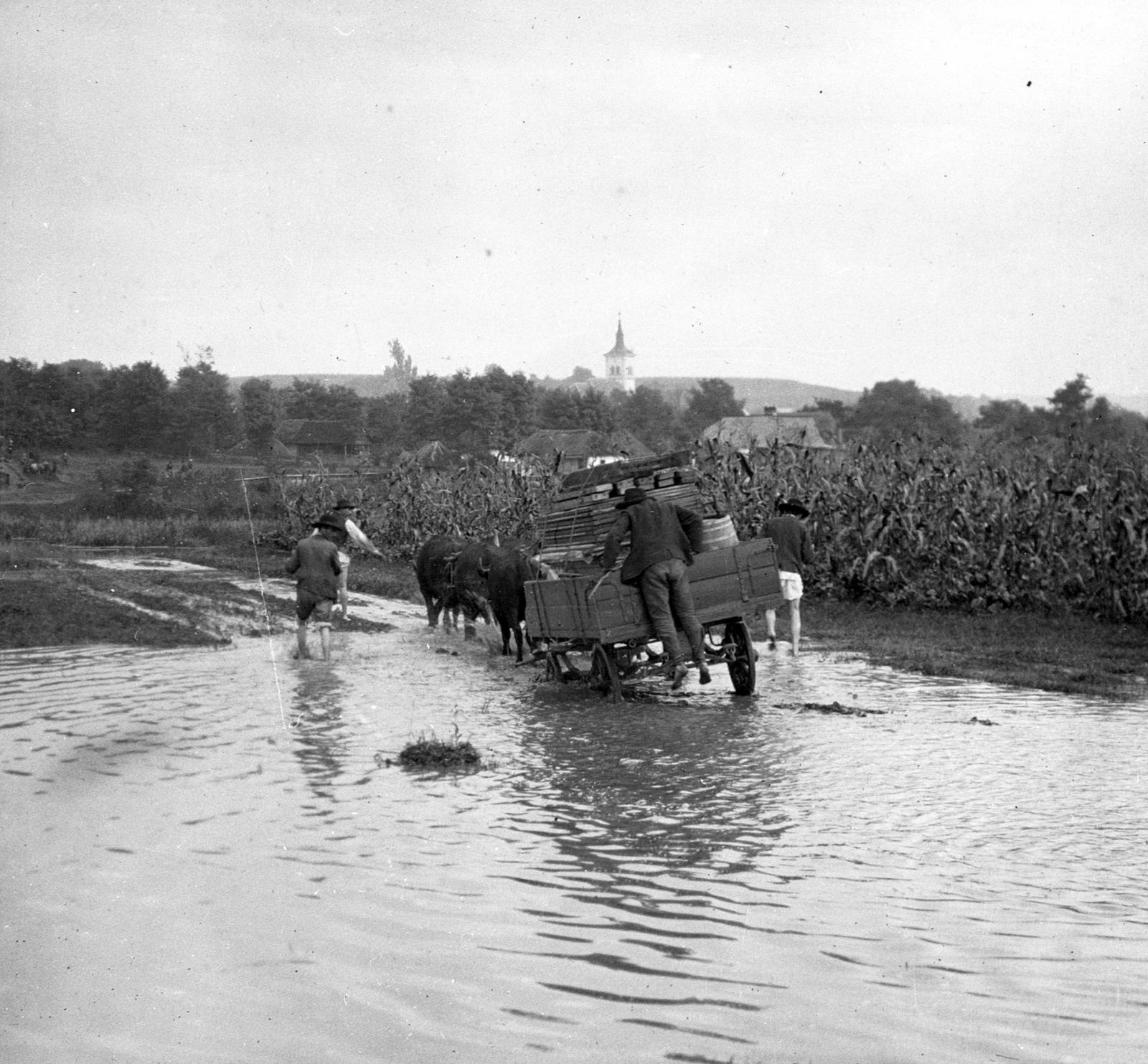 1906, SZTFH Földtani Szolgálatának gyűjteménye, Eötvös Loránd, Fortepan #303178
