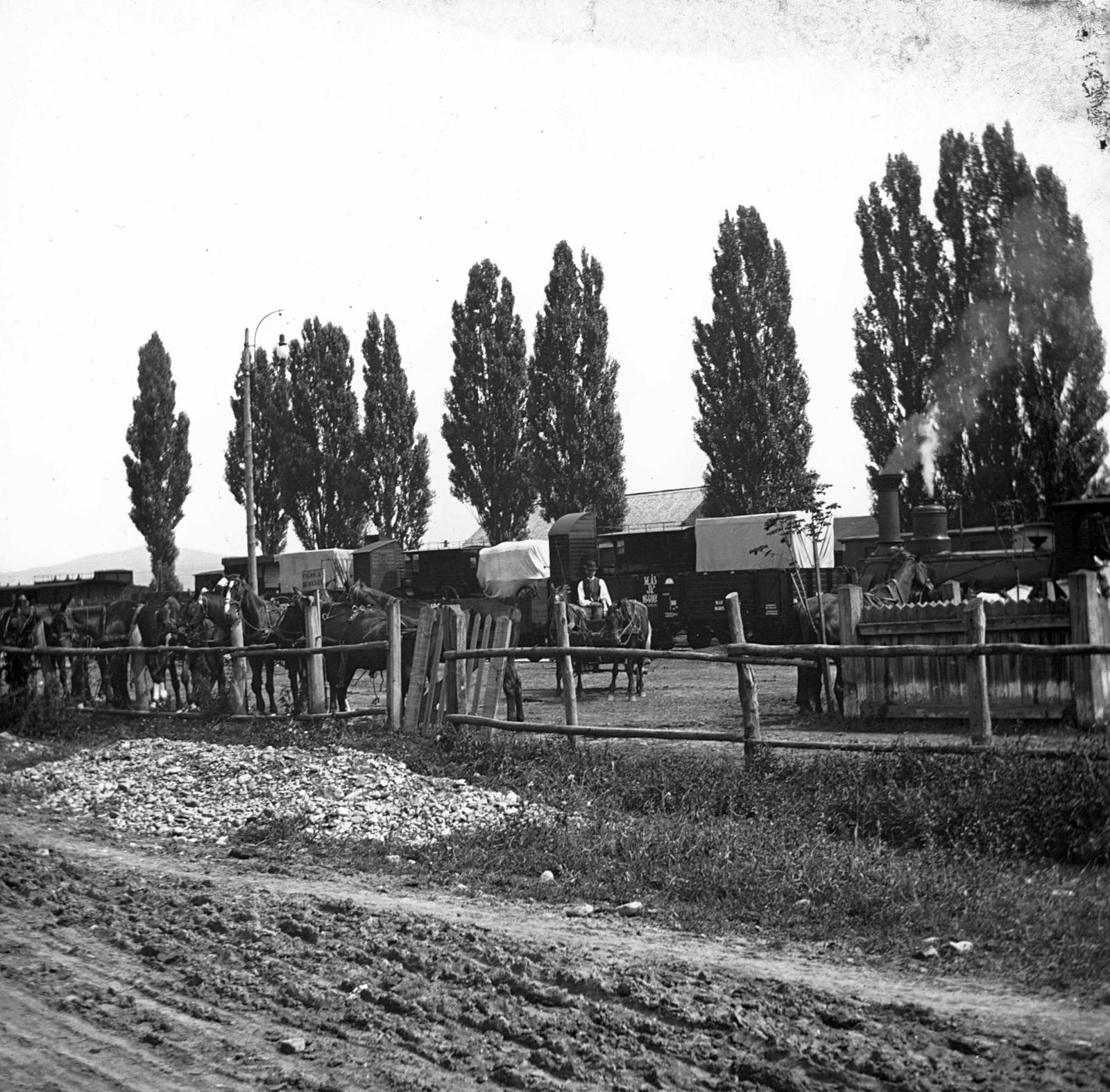 1906, SZTFH Földtani Szolgálatának gyűjteménye, railing, Horse-drawn carriage, railway, horse, Fortepan #303232