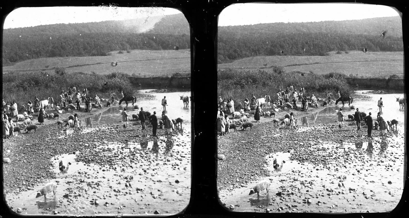A felvétel 1900 előtt készült., 1900, SZTFH Földtani Szolgálatának gyűjteménye, Eötvös Loránd, Fortepan #303268