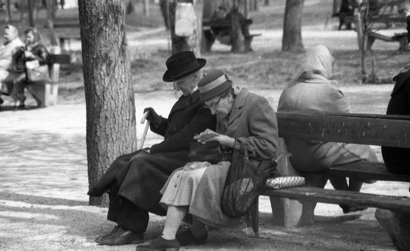 Magyarország, Budapest II., Máriaremete, a felvétel a Kisboldogasszony-templom kertjében készült., 1966, Urbán Tamás, kalap, utcabútor, pad, sétabot, idős ember, idős ember, Budapest, Fortepan #30330