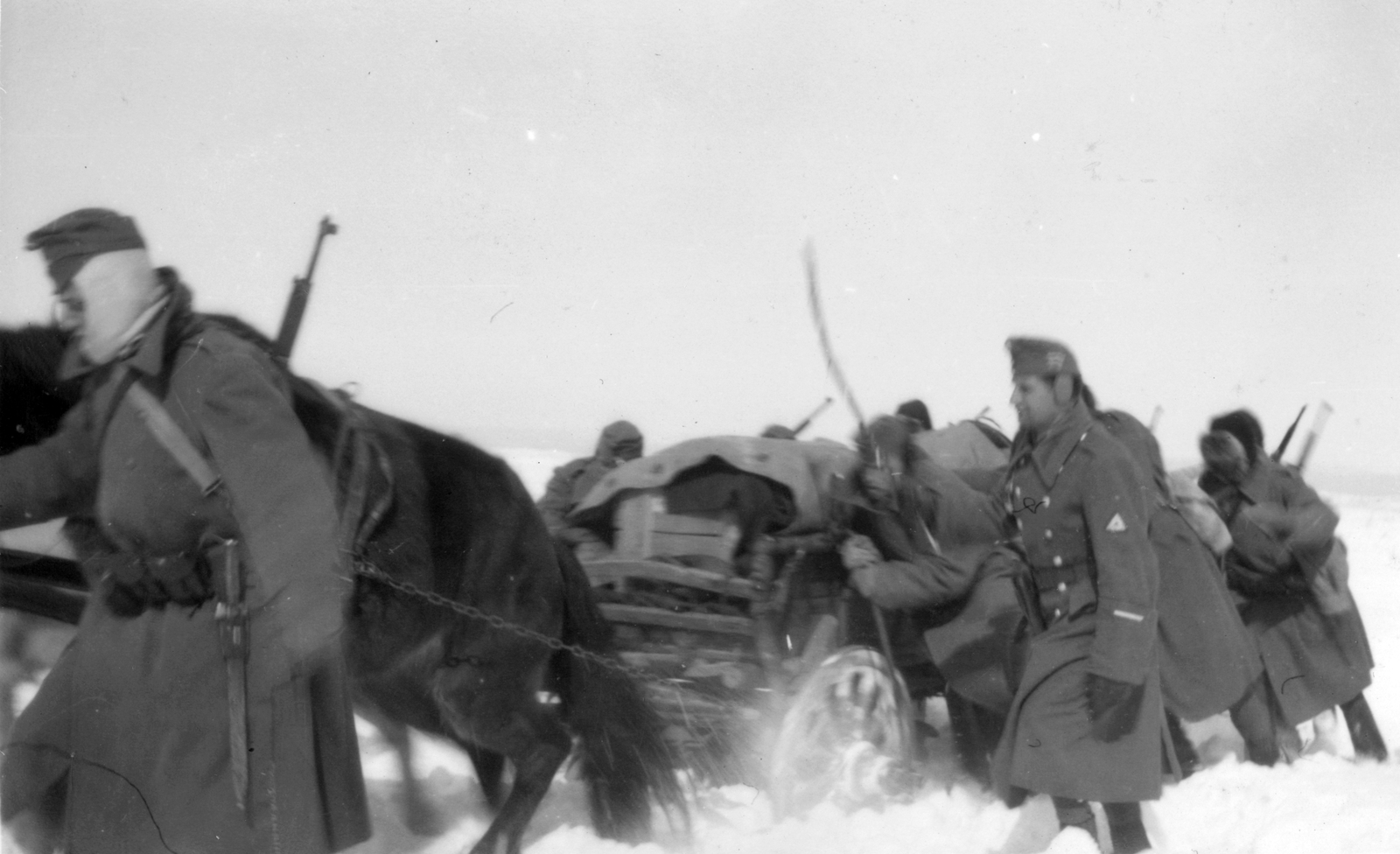 1942, Székely Márton, keleti front, tél, ló, szekér, második világháború, Fortepan #30348