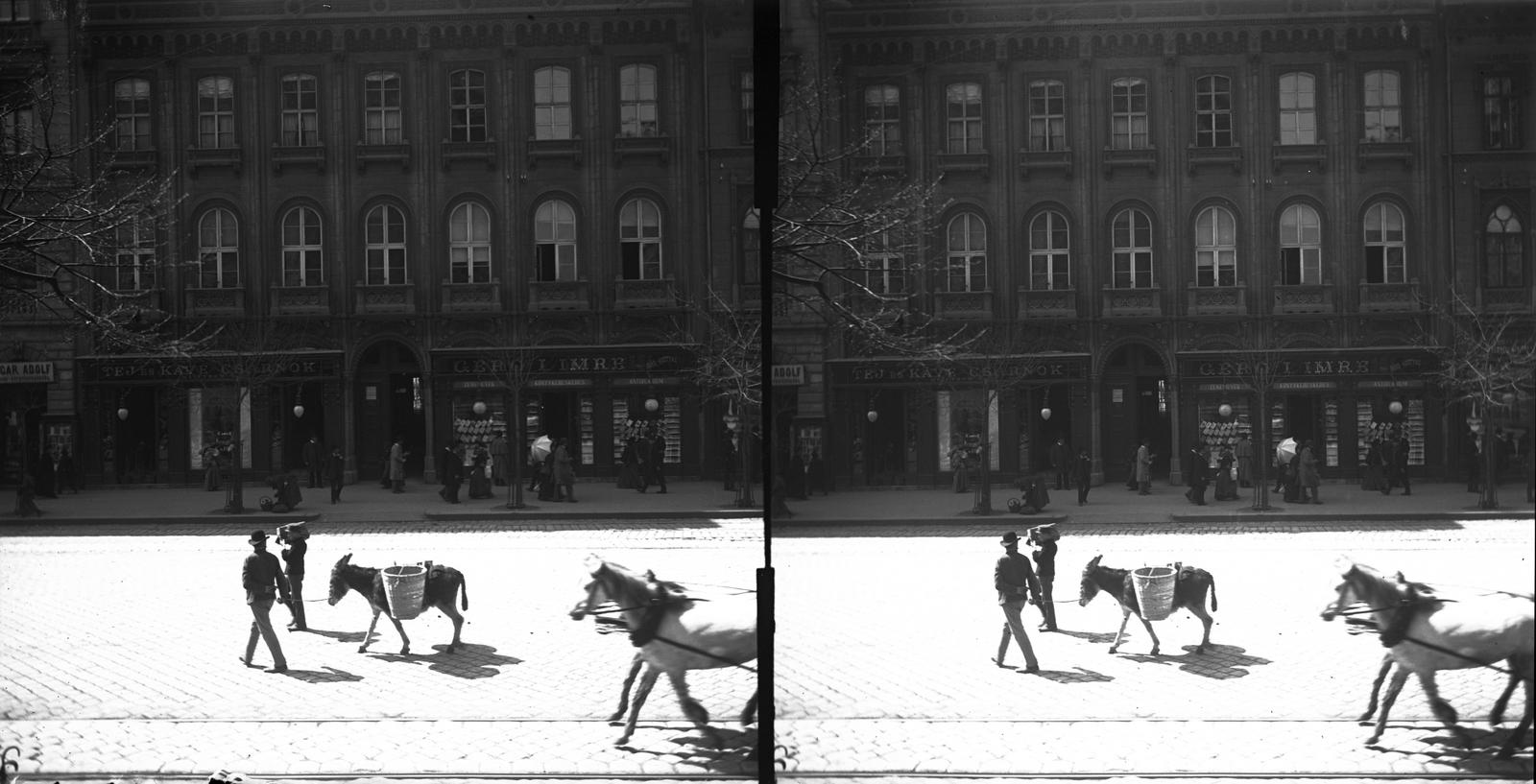 Magyarország, Budapest V.,Budapest VIII., Múzeum körút, szemben a 7. számú épület Unger Henrik bérháza. A felvétel 1894-ben készült. A kép forrását kérjük így adja meg: Fortepan / MMKM. Levéltári jelzet: MMKM TTFGY 2019.1., 1900, Magyar Műszaki és Közlekedési Múzeum / Eötvös Loránd, Eötvös Loránd, Best of, sztereófotó, teherhordás, szamár, Budapest, Fortepan #303481