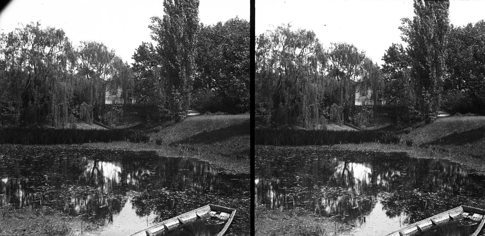 Magyarország, Budapest VIII., Füvészkert, a képen a környező források által táplált öt tó közül a legnagyobb, a háttérben a Festetics-kastély. A kép forrását kérjük így adja meg: Fortepan / MMKM. Levéltári jelzet: MMKM TTFGY 2019.1., 1907, Magyar Műszaki és Közlekedési Múzeum / Eötvös Loránd, Eötvös Loránd, tó, sztereófotó, növény, Budapest, Fortepan #303495