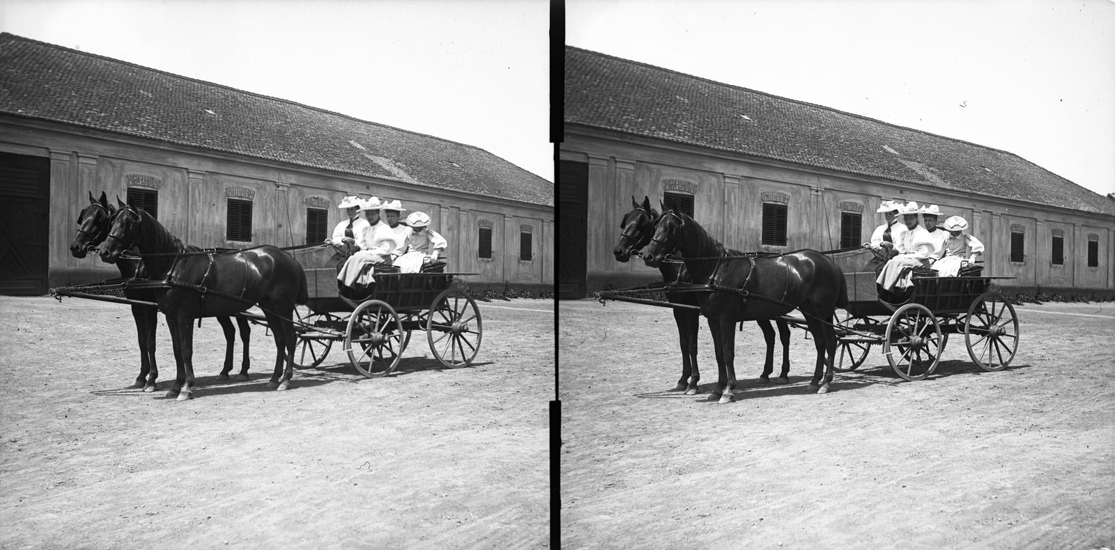A felvétel 1900 előtt készült. A kép forrását kérjük így adja meg: Fortepan / MMKM. Levéltári jelzet: MMKM TTFGY 2019.1., 1900, Magyar Műszaki és Közlekedési Múzeum / Eötvös Loránd, Eötvös Loránd, kalap, lányok, sztereófotó, fogat, fehér ruha, Fortepan #303525