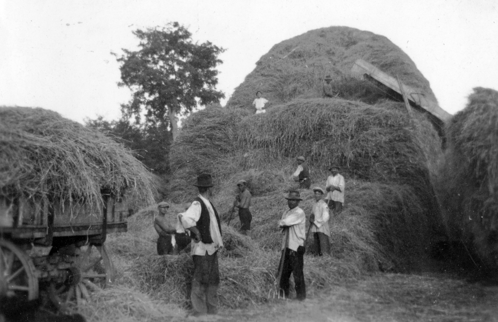 1936, Székely Márton, munka, kazal, Fortepan #30353