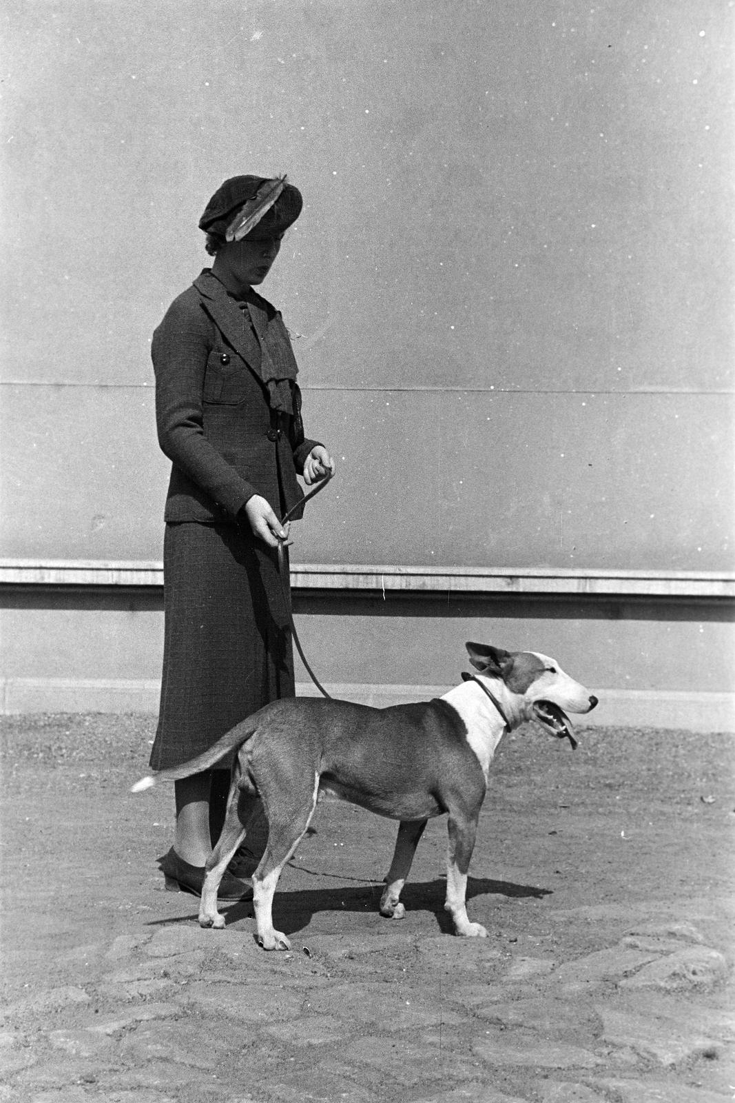 1939, Inkey Tibor, póráz, kutya, Fortepan #303684