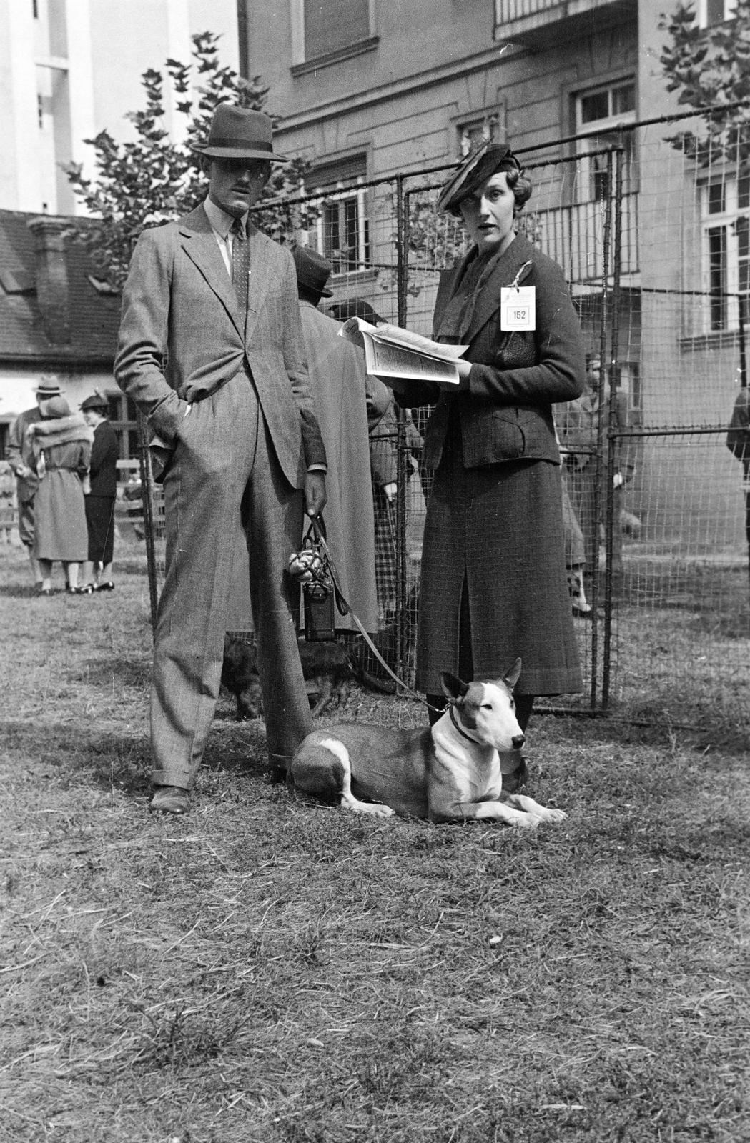 1939, Inkey Tibor, Best of, szájkosár, kutya, Fortepan #303689