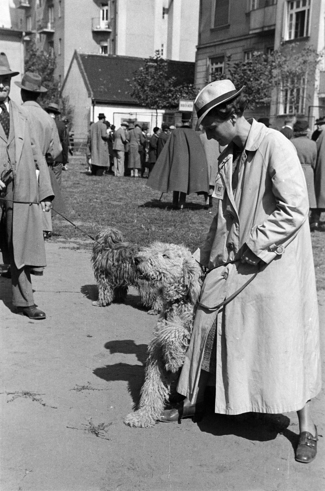 1939, Inkey Tibor, dog, Fortepan #303693