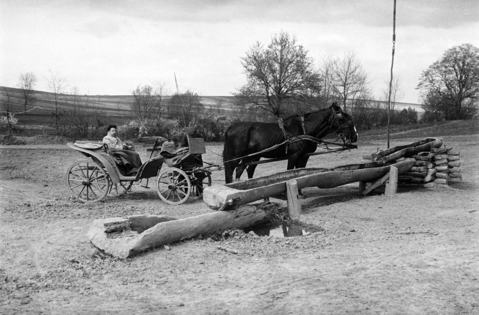 1941, Inkey Tibor, hintó, itatóvályú, Fortepan #303733