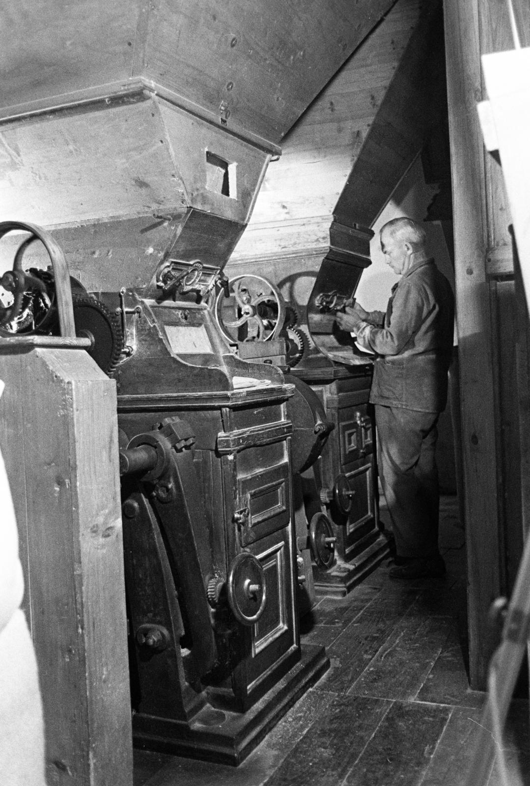 Magyarország, Örvényes, Szent Imre utca, vízimalom a Pécsely-patak partján (később Malommúzeum). A malom tulajdonosa, Molnár Antal., 1981, Szebeni András, malom, Fortepan #304009