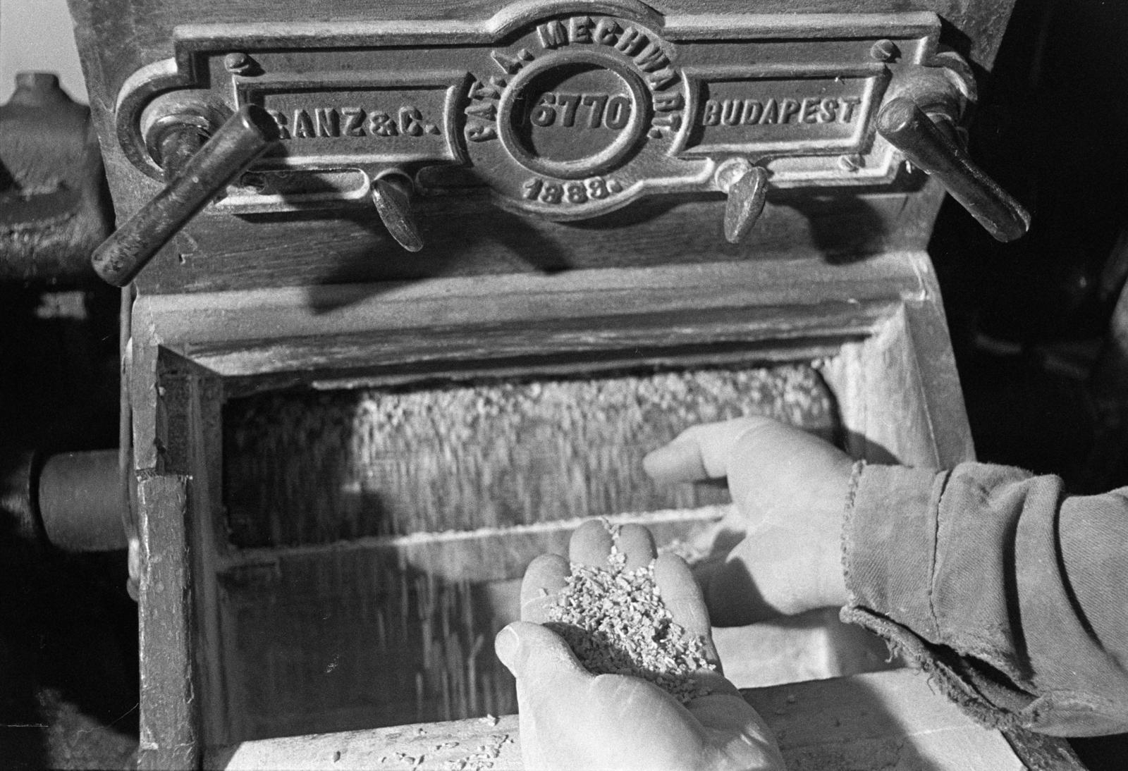 Hungary, Örvényes, Szent Imre utca, vízimalom a Pécsely-patak partján (később Malommúzeum)., 1981, Szebeni András, extinct crafts, miller, Mill, Ganz-brand, Fortepan #304010