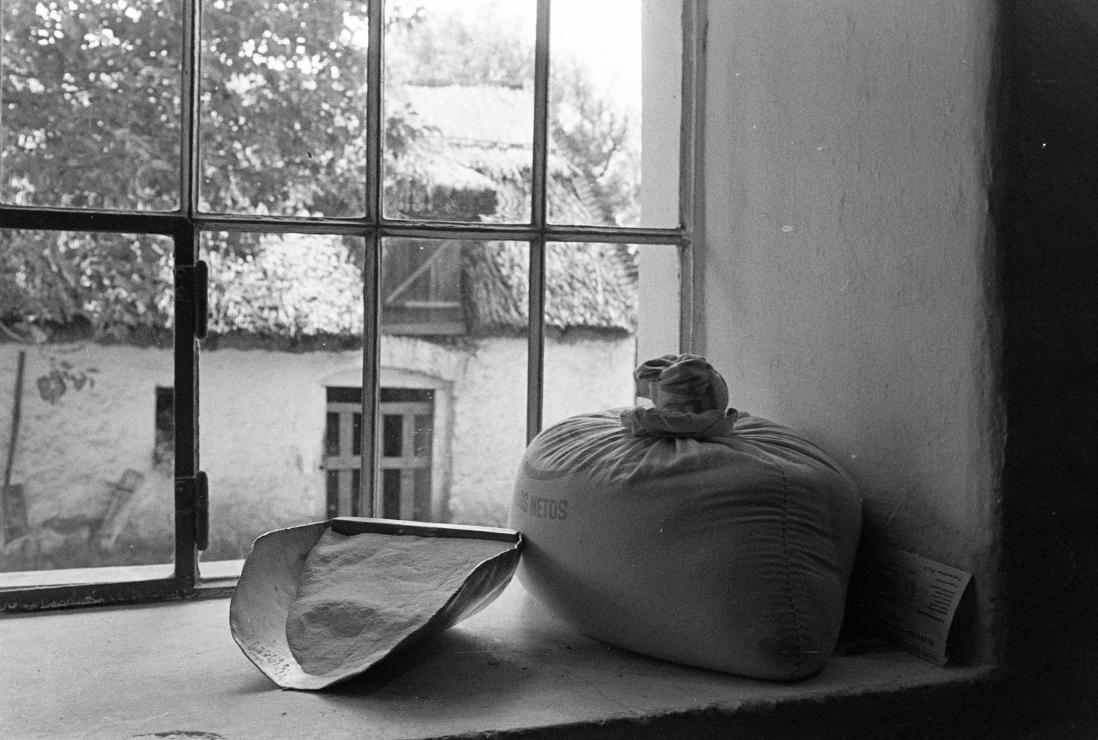 Magyarország, Örvényes, Szent Imre utca, vízimalom a Pécsely-patak partján (később Malommúzeum)., 1976, Szebeni András, liszteszsák, malom, Fortepan #304011