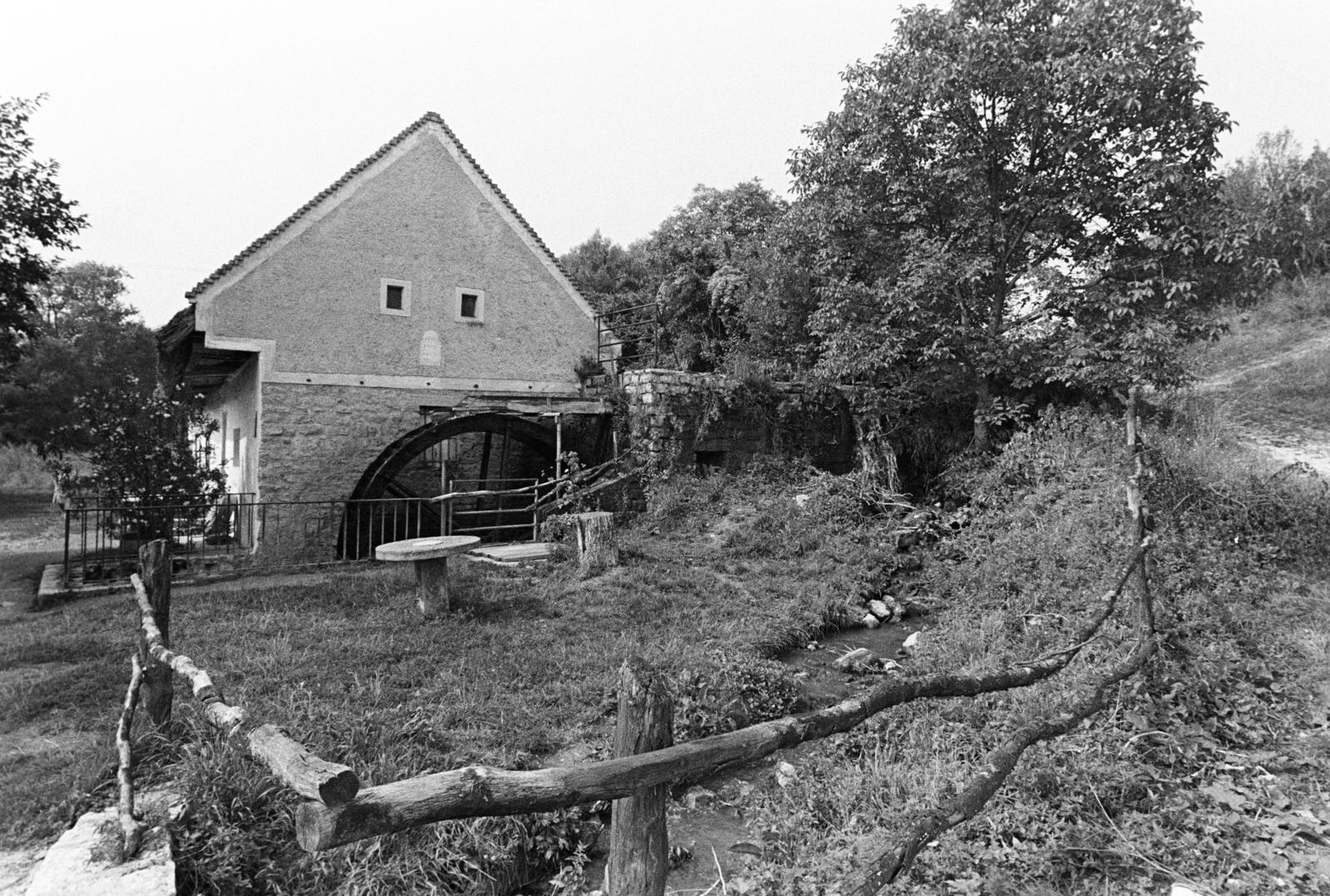 Magyarország, Örvényes, Szent Imre utca, vízimalom a Pécsely-patak partján (később Malommúzeum)., 1981, Szebeni András, Fortepan #304014