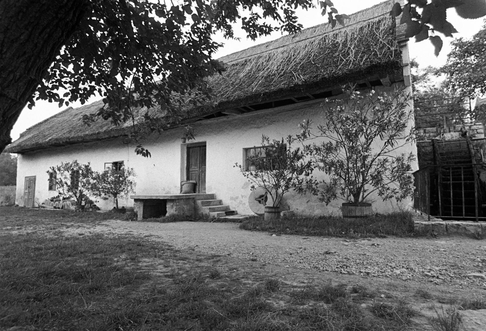 Magyarország, Örvényes, Szent Imre utca, vízimalom a Pécsely-patak partján (később Malommúzeum)., 1976, Szebeni András, népi építészet, dézsa, leander, malom, Fortepan #304015