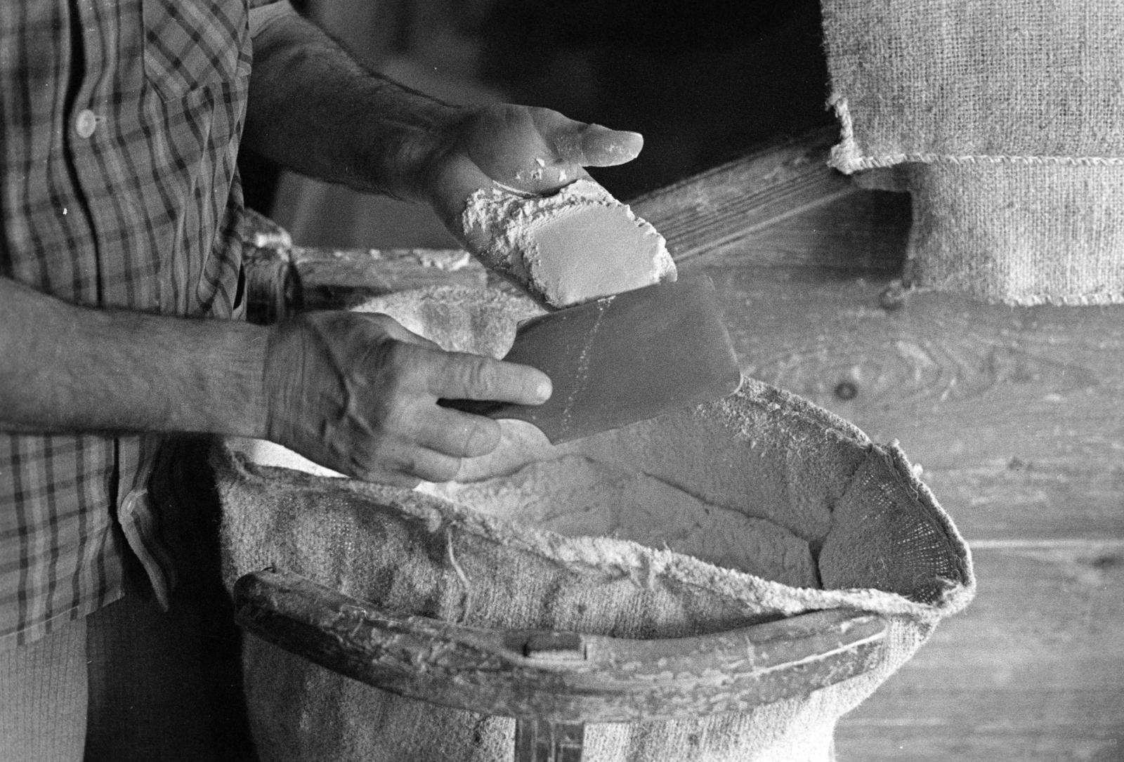 Hungary, Örvényes, Szent Imre utca, vízimalom a Pécsely-patak partján (később Malommúzeum)., 1976, Szebeni András, hold in arms, bag of flour, Mill, Fortepan #304016