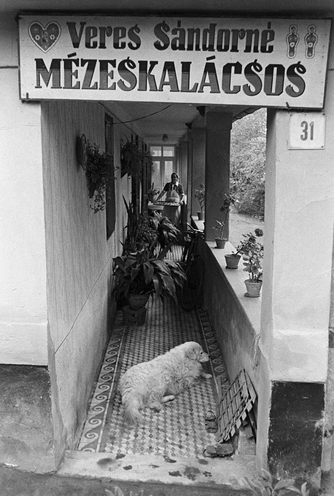 Magyarország, Sárospatak, Veres Sándorné mézeskalácsos műhelye., 1975, Szebeni András, kihalt mesterség, cégtábla, kutya, mézeskalács, tornác, kisiparos, Fortepan #304029