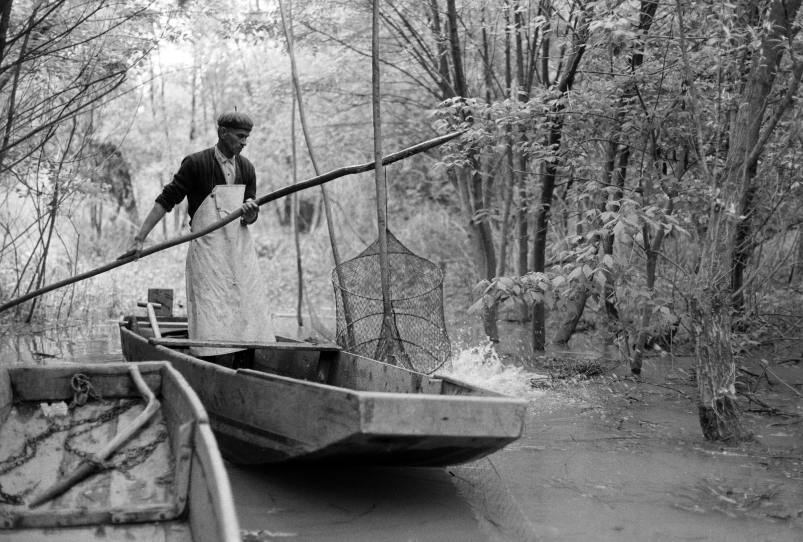 Magyarország, Algyő, Atkai Holt-Tisza, halászat varsával., 1978, Szebeni András, halászháló, halászat, Fortepan #304055