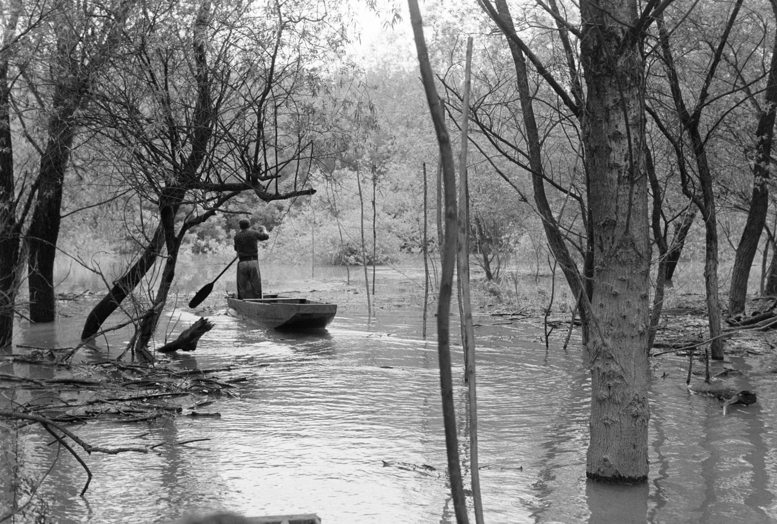Magyarország, Algyő, Atkai Holt-Tisza, 1978, Szebeni András, halászat, Fortepan #304056