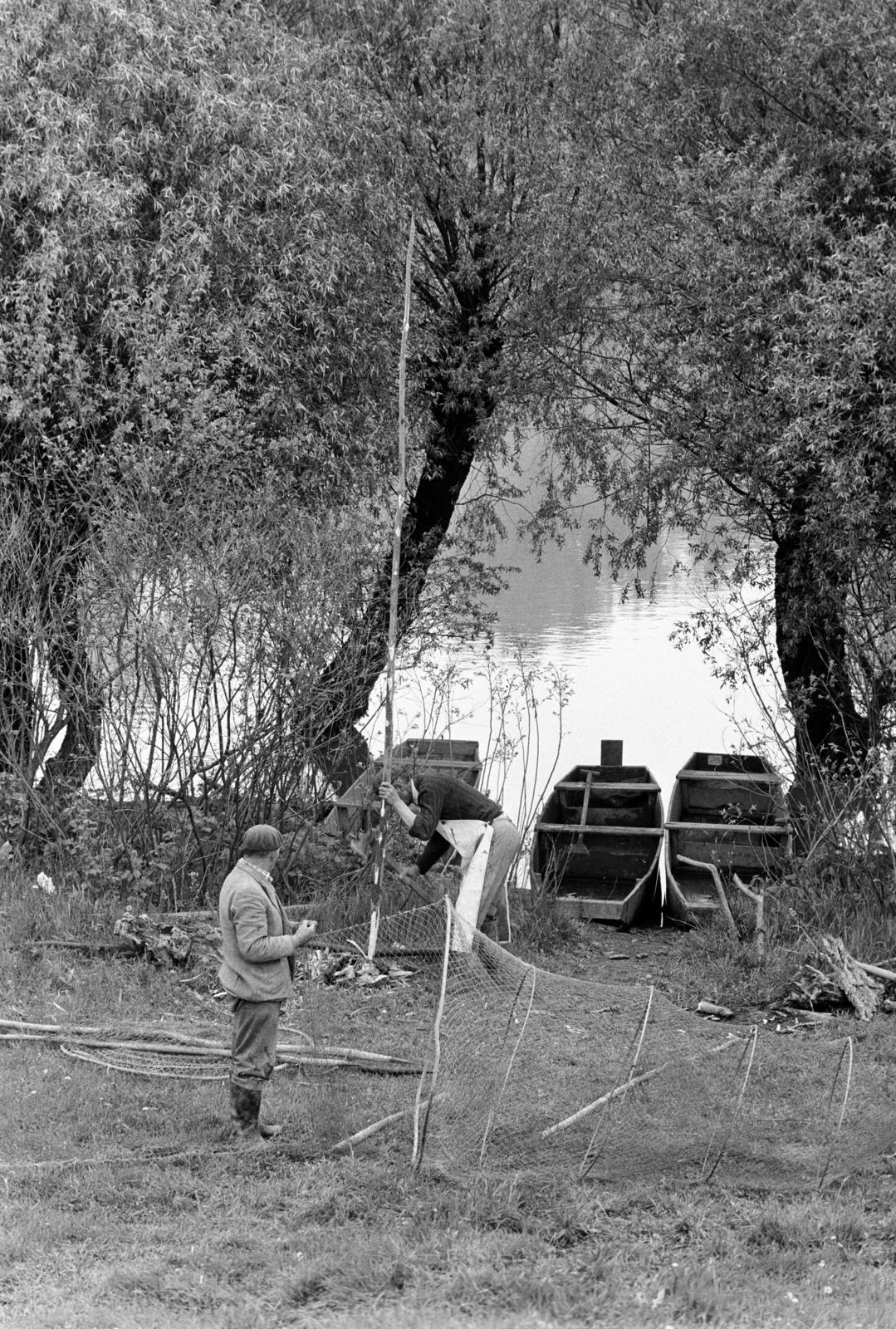 Hungary, Algyő, Atkai Holt-Tisza, halászok készítik elő a varsákat., 1978, Szebeni András, fishing net, fishing, Fortepan #304060