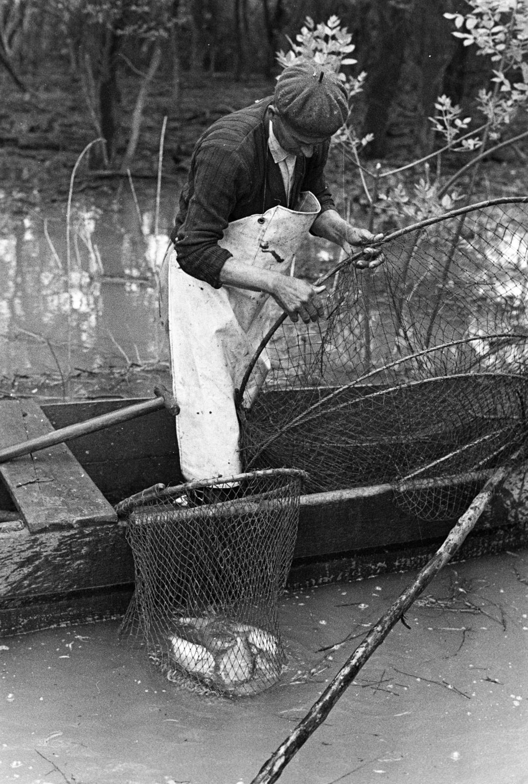 1981, Szebeni András, fishing, Fortepan #304064