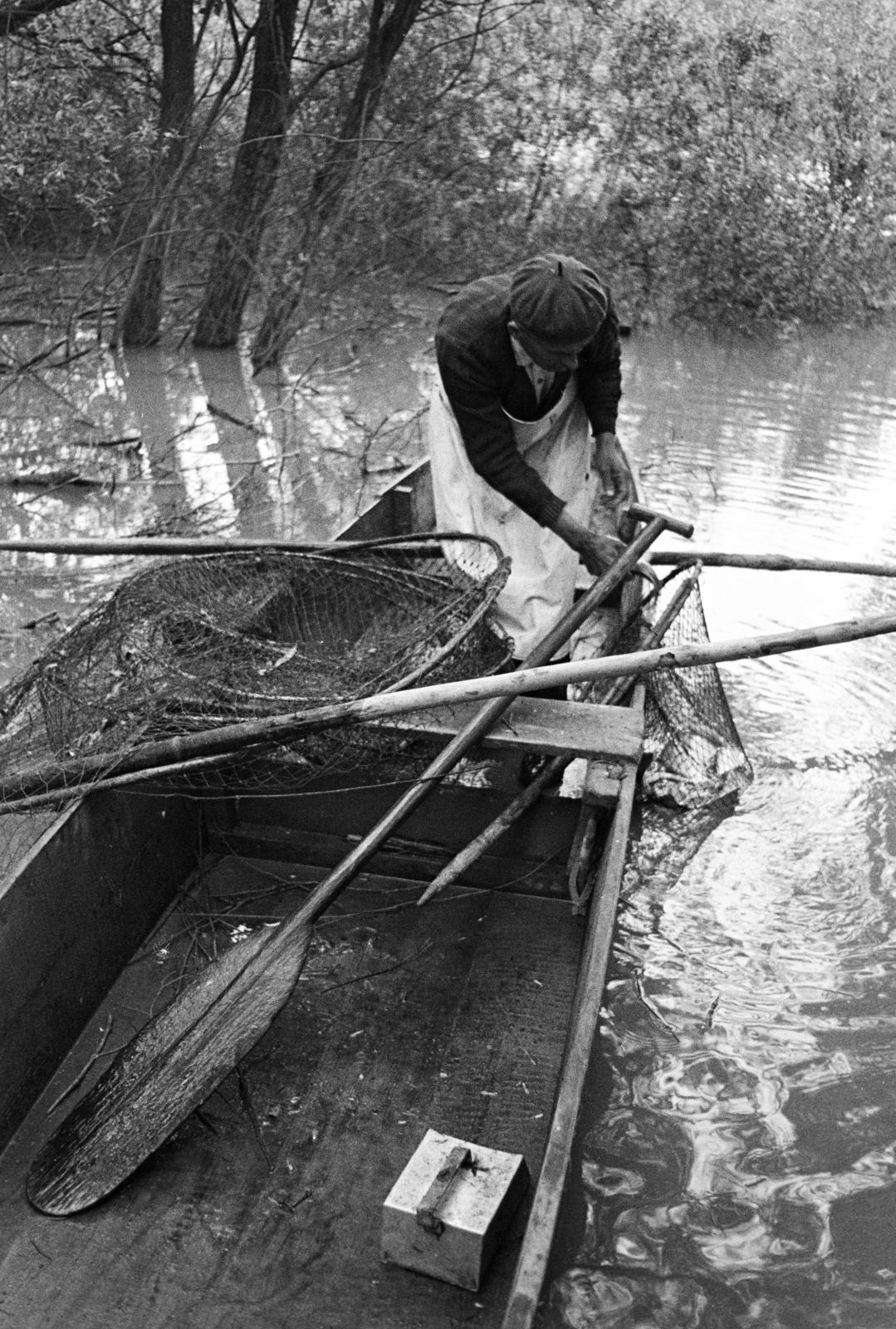 1981, Szebeni András, paddle, Fortepan #304065