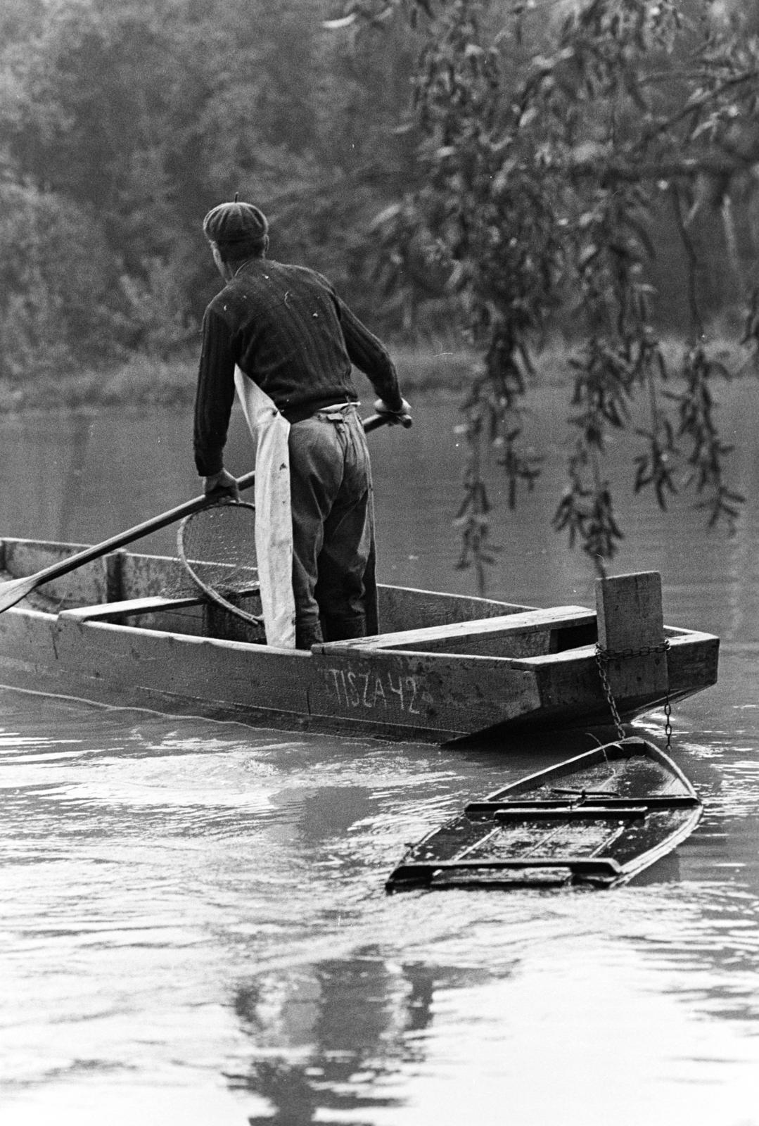 Magyarország, Algyő, Atkai Holt-Tisza, halász a ladikja után kötött haltárolóval., 1978, Szebeni András, halászat, Fortepan #304066