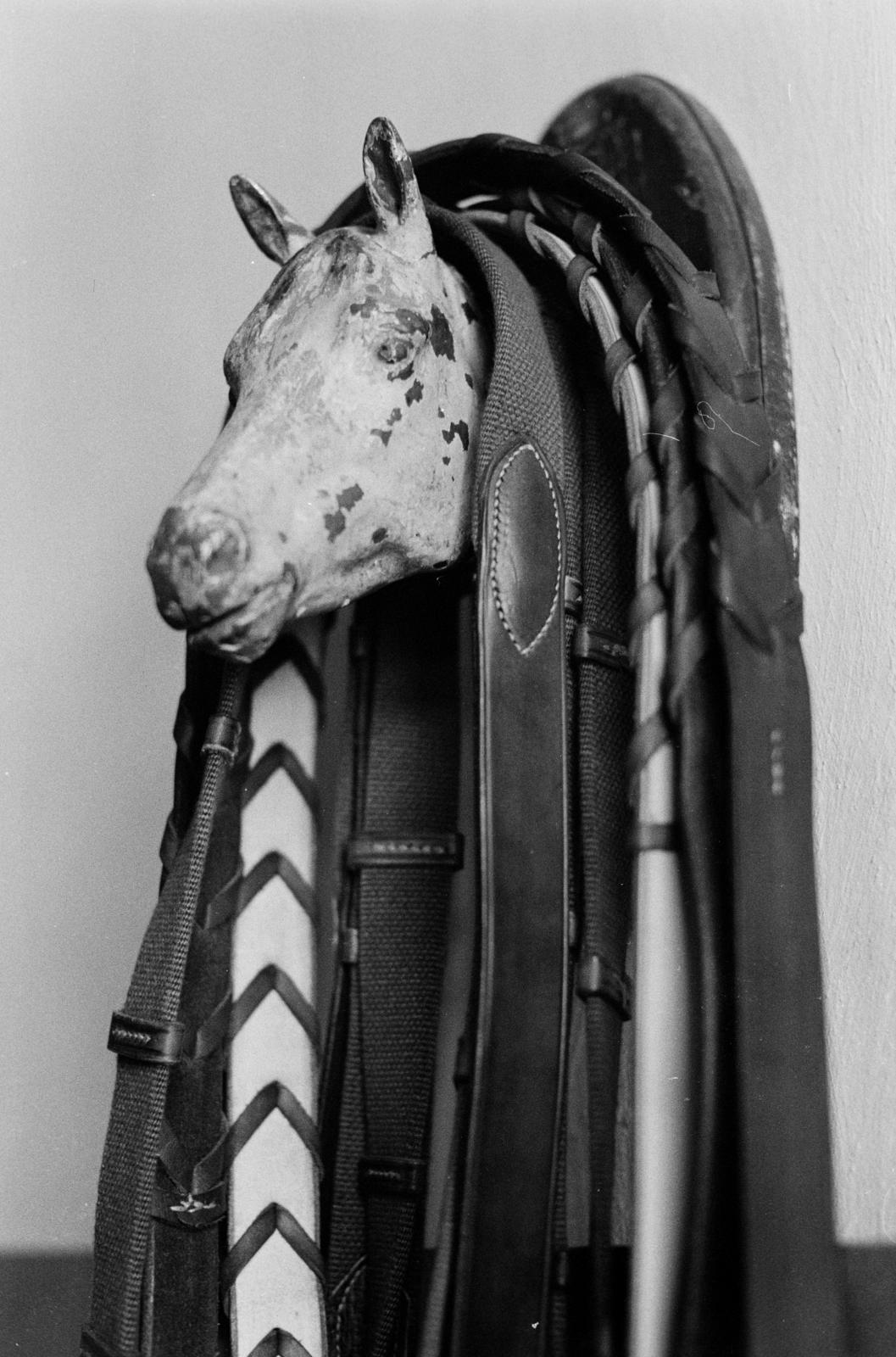 Magyarország, Budapest IV., Templom utca, Pánczél Miklós szíjgyártó és nyeregkészítő műhelye., 1975, Szebeni András, Budapest, lószerszám, Fortepan #304136