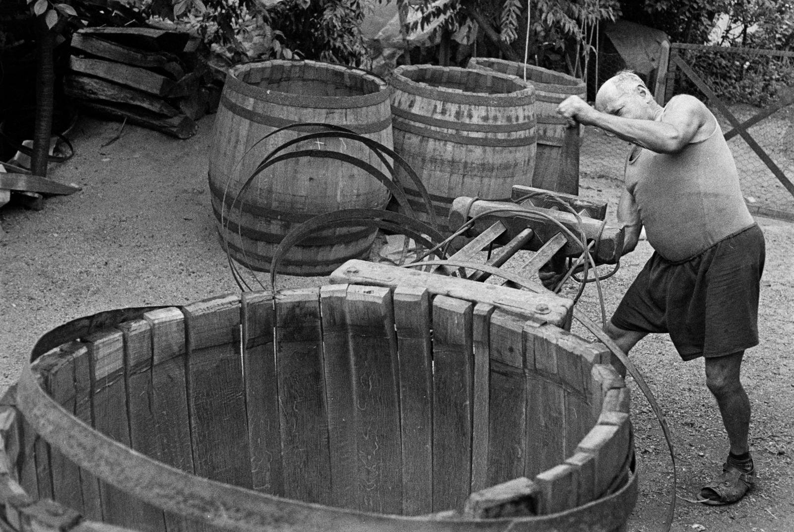 1981, Szebeni András, kihalt mesterség, Fortepan #304153