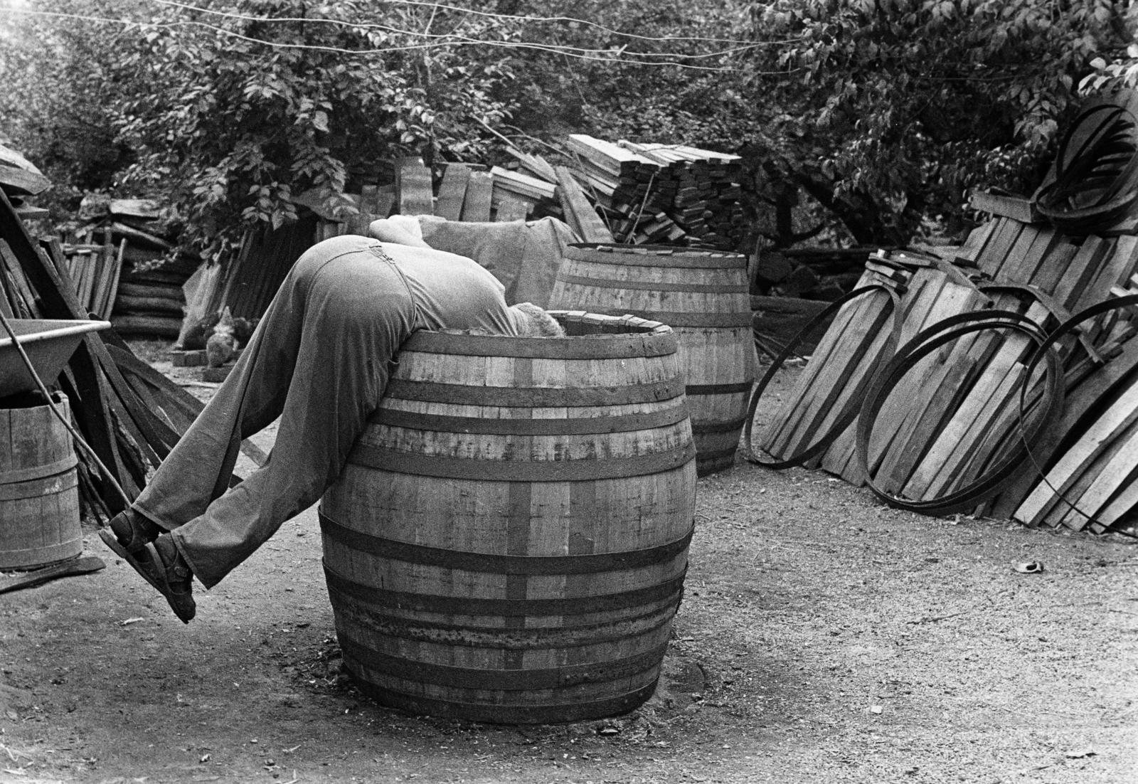 1981, Szebeni András, Fortepan #304156