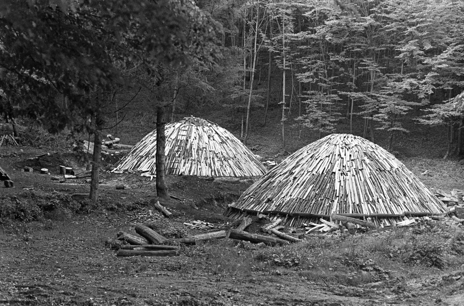 Hungary, Répáshuta, szénégető / faszén készítő telep., 1976, Szebeni András, ladder, coal burning, Fortepan #304173