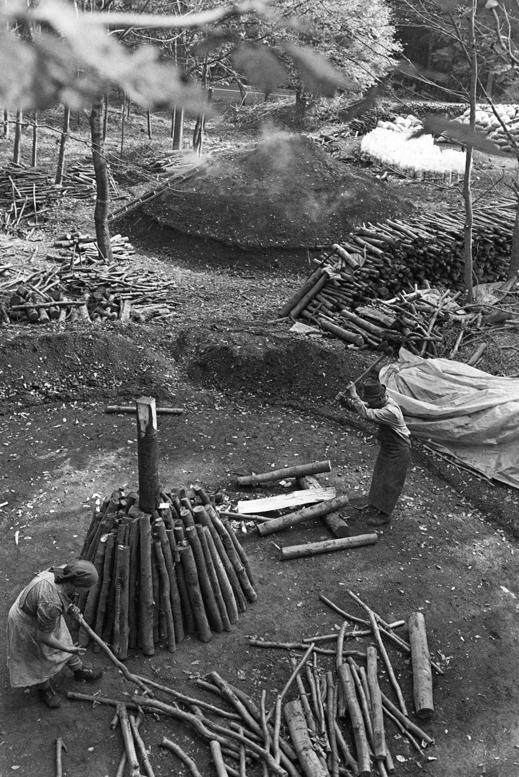 Magyarország, Répáshuta, szénégető / faszén készítő telep., 1976, Szebeni András, kihalt mesterség, boksa, szénégetés, favágás, Fortepan #304174