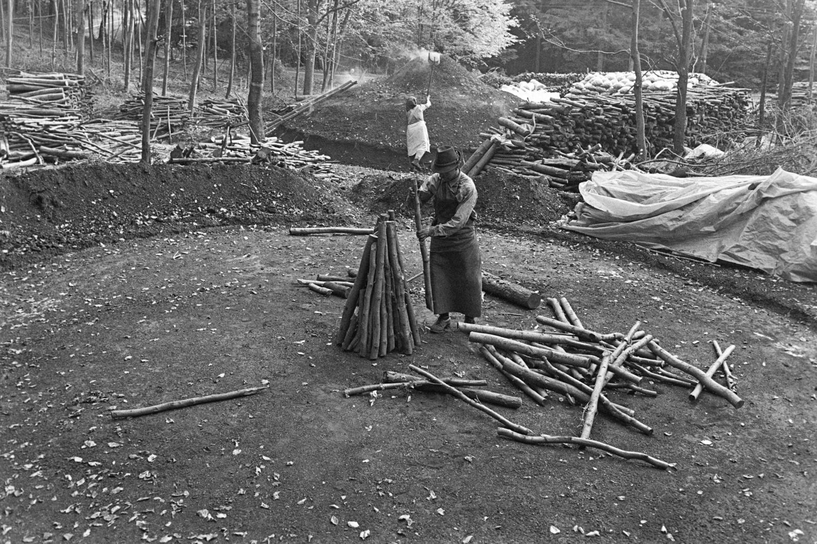 Magyarország, Répáshuta, szénégető / faszén készítő telep., 1976, Szebeni András, boksa, szénégetés, Fortepan #304179